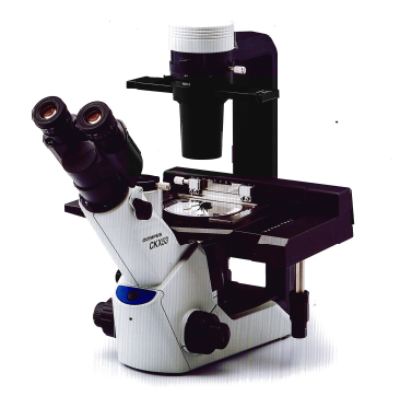 奧林巴斯生物顯微鏡ckx53